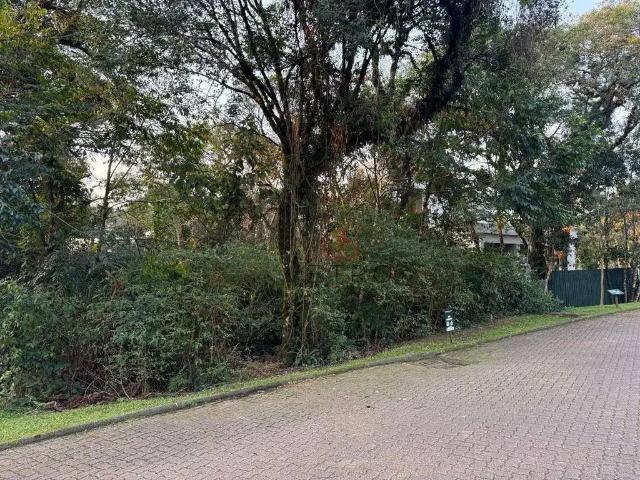 Terreno em Condomínio para Venda em Canela/RS Reserva da Serra