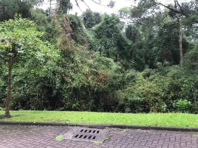 Terreno em Condomínio para Venda em Canela/RS Reserva da Serra