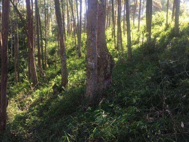 Terreno em Condomínio para Venda em Cajamar/SP Jordanésia
