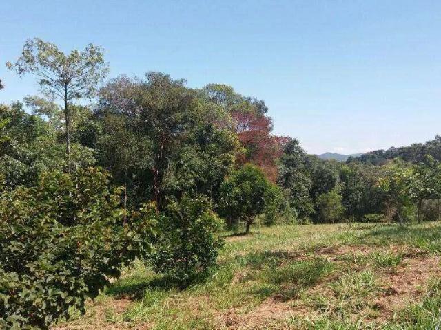 Terreno em Condomínio para Venda em Capitólio/MG Condomínio Morada Verde