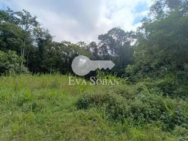 Terreno em Condomínio para Venda em Caraguatatuba/SP Massaguaçu