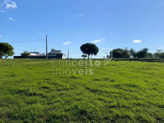 Terreno em Condomínio para Venda em Carambeí/PR Centro