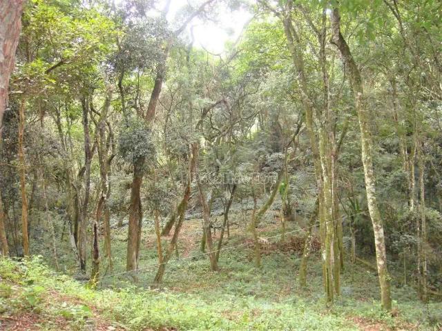 Terreno em Condomínio para Venda em Carapicuíba/SP Granja Viana