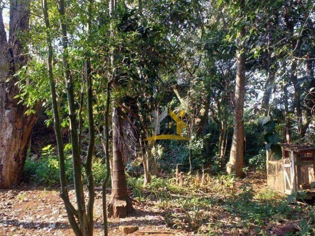 Terreno em Condomínio para Venda em Carapicuíba/SP Vila Diva