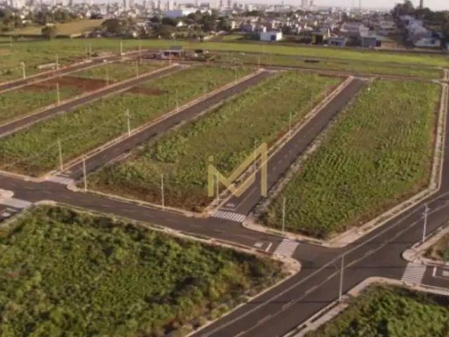 Terreno em Condomínio para Venda em Cascavel/PR Brazmadeira