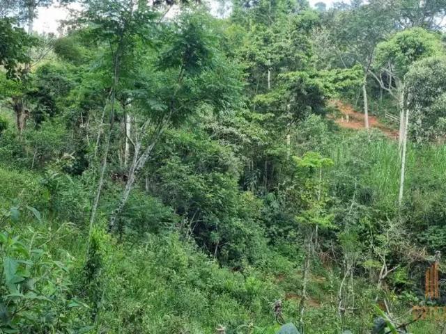 Terreno em Condomínio para Venda em Catas Altas da Noruega/MG Zona Rural