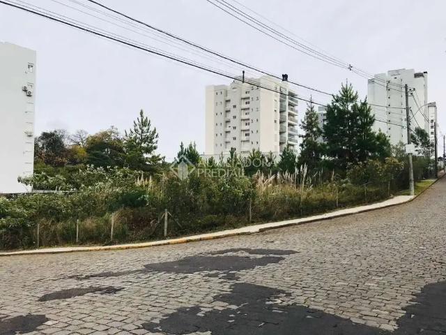 Terreno em Condomínio para Venda em Caxias do Sul/RS Pioneiro