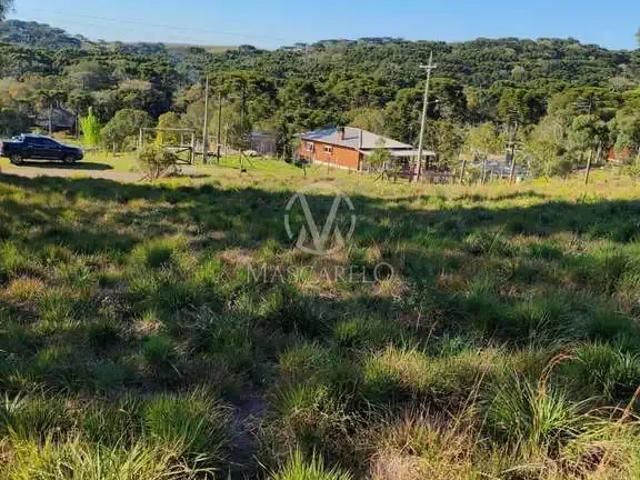 Terreno em Condomínio para Venda em Caxias do Sul/RS Vila Seca