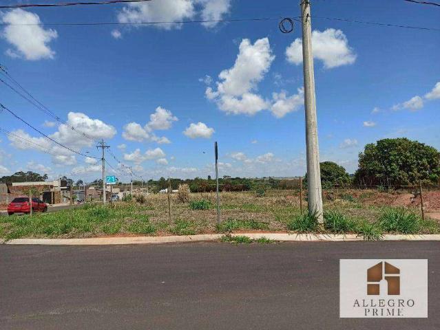 Terreno em Condomínio para Venda em Cedral/SP Estância Das Paineiras