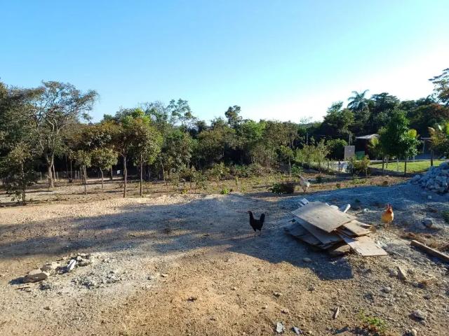 Terreno em Condomínio para Venda em Contagem/MG Vila Ipê Amarelo