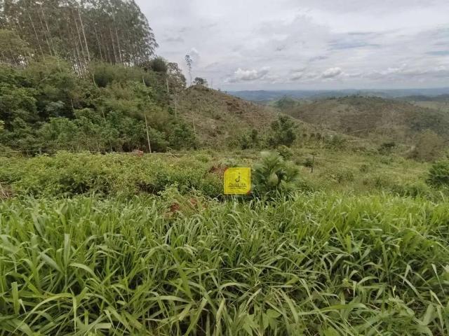 Terreno em Condomínio para Venda em Coronel Pacheco/MG Fazenda Triqueda