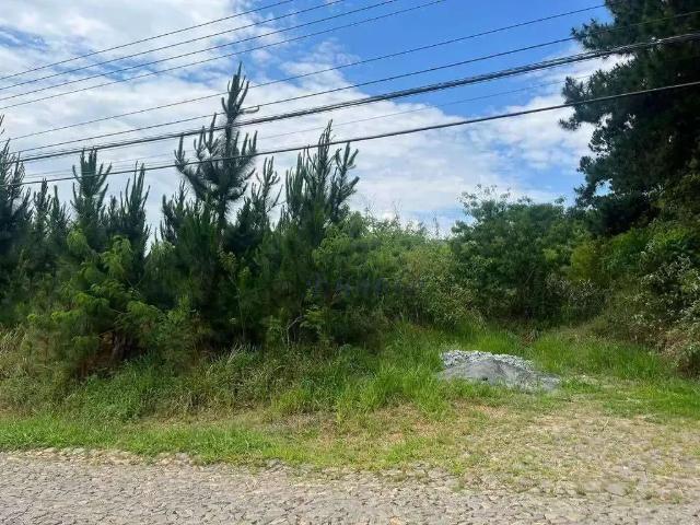 Terreno em Condomínio para Venda em Cotia/SP Moinho Velho