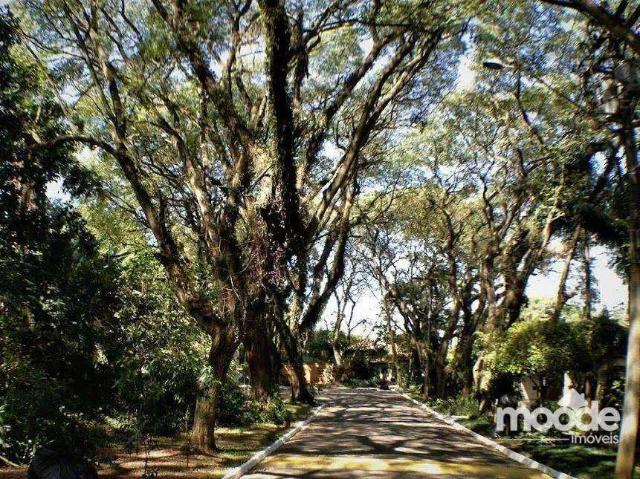 Terreno em Condomínio para Venda em Cotia/SP Bosque do Vianna