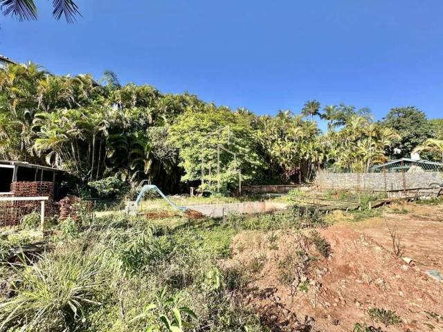 Terreno em Condomínio para Venda em Cotia/SP Bosque do Vianna