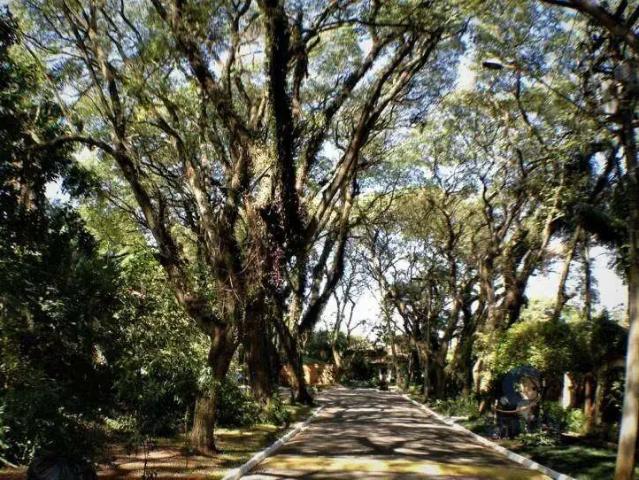 Terreno em Condomínio para Venda em Cotia/SP Bosque do Vianna