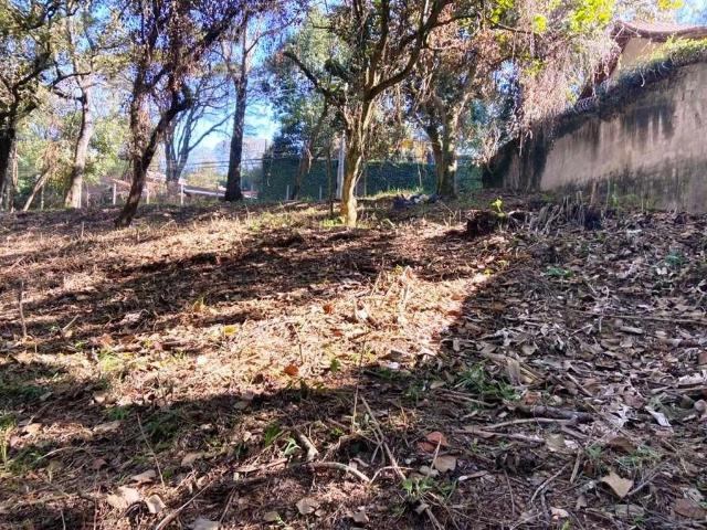 Terreno em Condomínio para Venda em Cotia/SP Chácaras do Refúgio Granja Viana