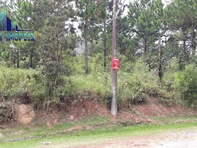 Terreno em Condomínio para Venda em Cotia/SP Gramado
