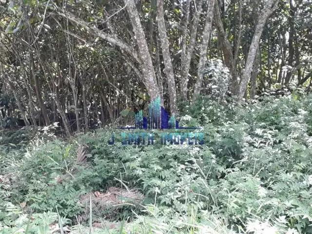 Terreno em Condomínio para Venda em Cotia/SP Gramado