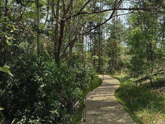 Terreno em Condomínio para Venda em Cotia/SP Granja Viana