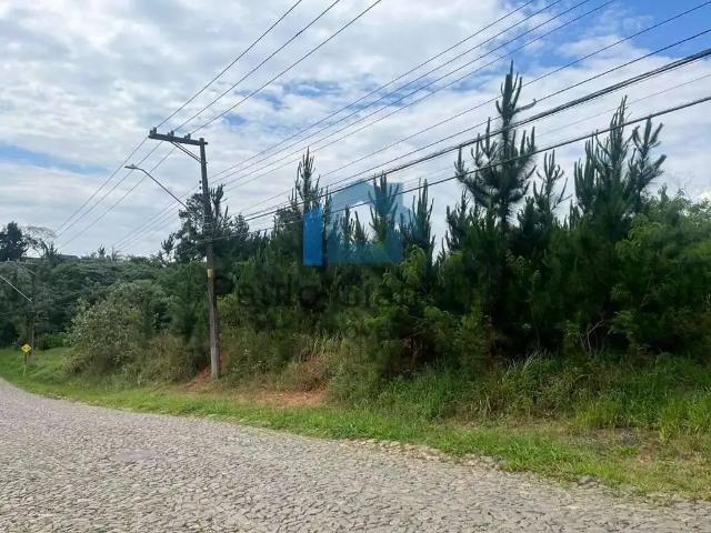 Terreno em Condomínio para Venda em Cotia/SP Granja Viana