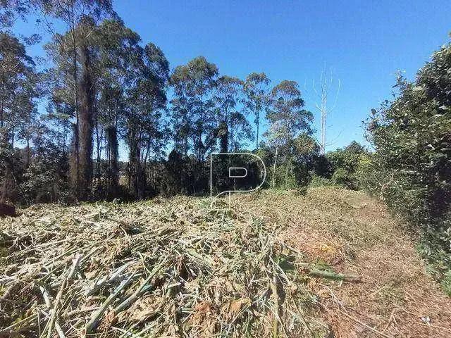 Terreno em Condomínio para Venda em Cotia/SP Granja Viana