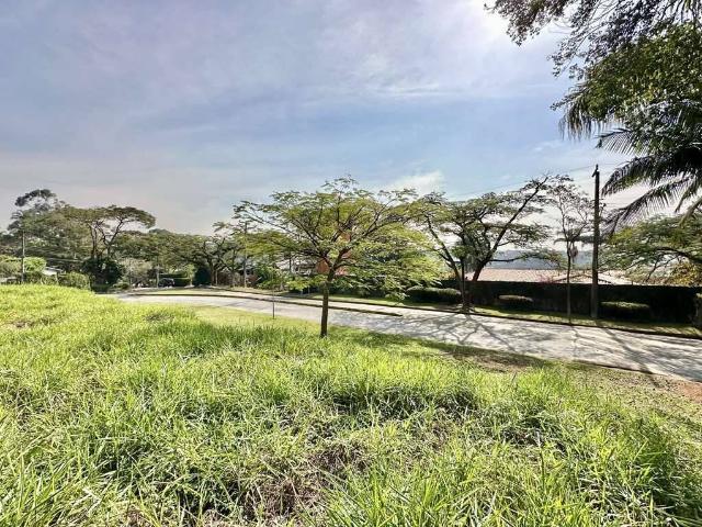 Terreno em Condomínio para Venda em Cotia/SP Granja Viana