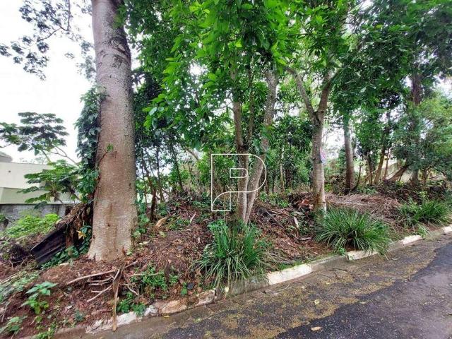 Terreno em Condomínio para Venda em Cotia/SP Granja Viana