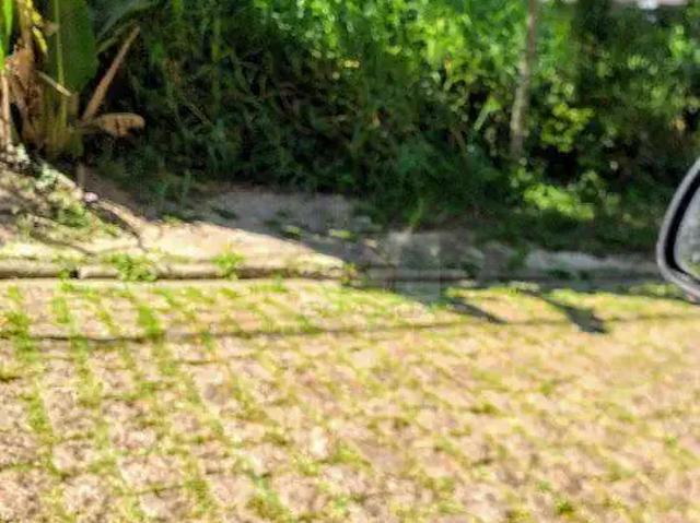 Terreno em Condomínio para Venda em Cotia/SP Granja Viana