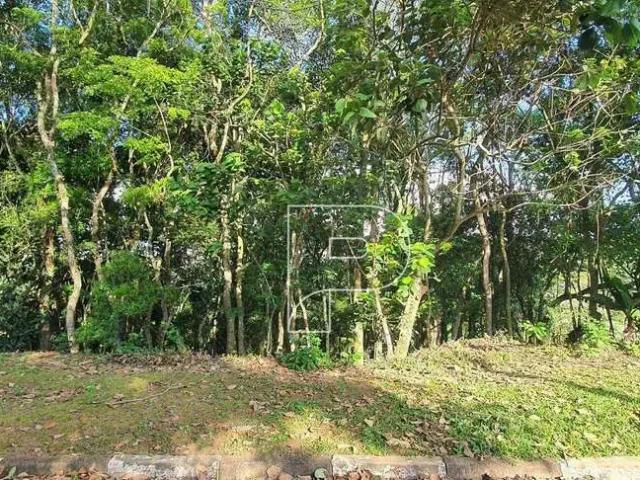 Terreno em Condomínio para Venda em Cotia/SP Granja Viana