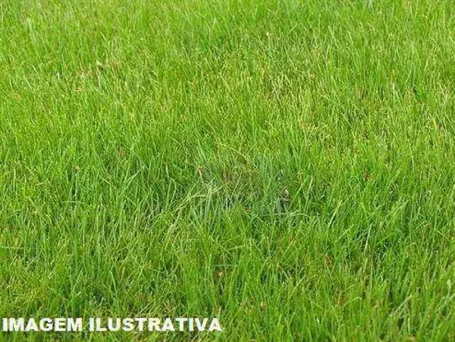 Terreno em Condomínio para Venda em Cotia/SP Granja Viana