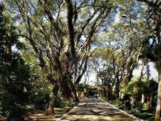 Terreno em Condomínio para Venda em Cotia/SP Granja Viana