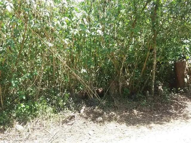 Terreno em Condomínio para Venda em Cotia/SP Granja Viana