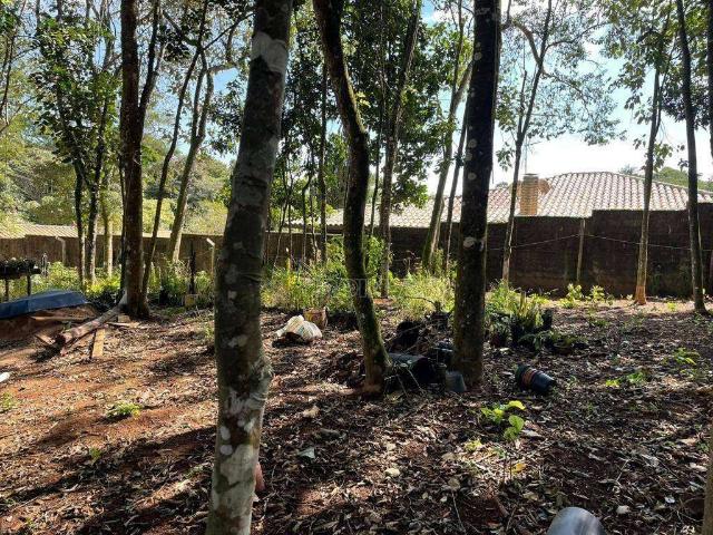Terreno em Condomínio para Venda em Cotia/SP Granja Viana