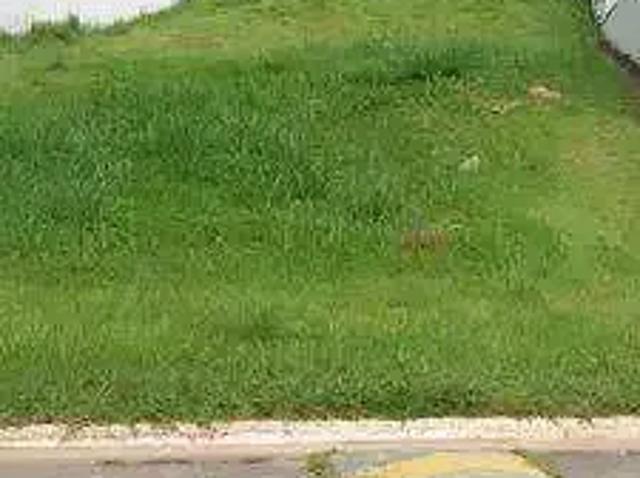 Terreno em Condomínio para Venda em Cotia/SP Jardim Torino