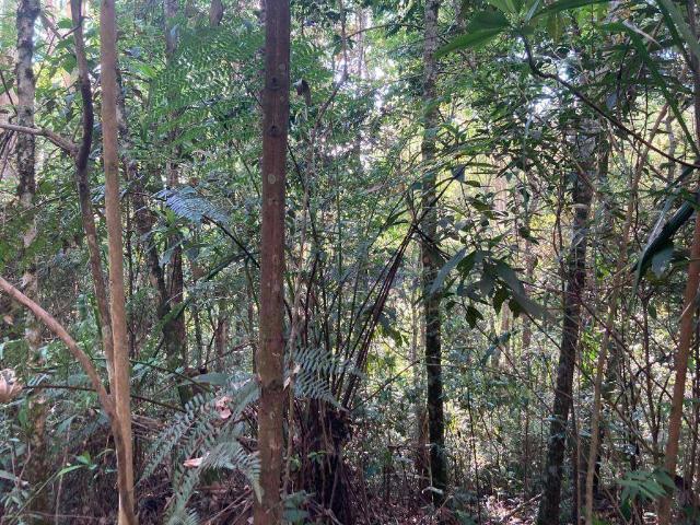 Terreno em Condomínio para Venda em Cotia/SP Jardim Atalaia