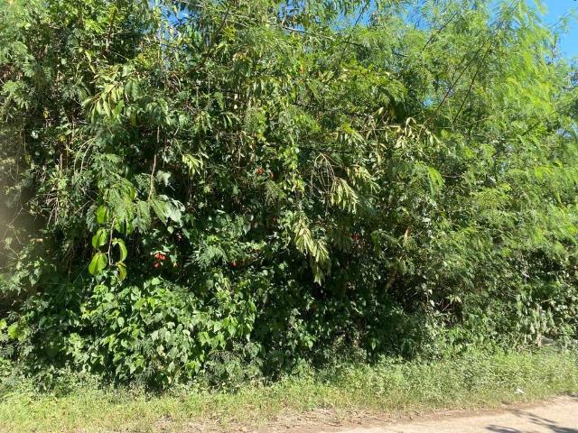Terreno em Condomínio para Venda em Cotia/SP Jardim Colibri