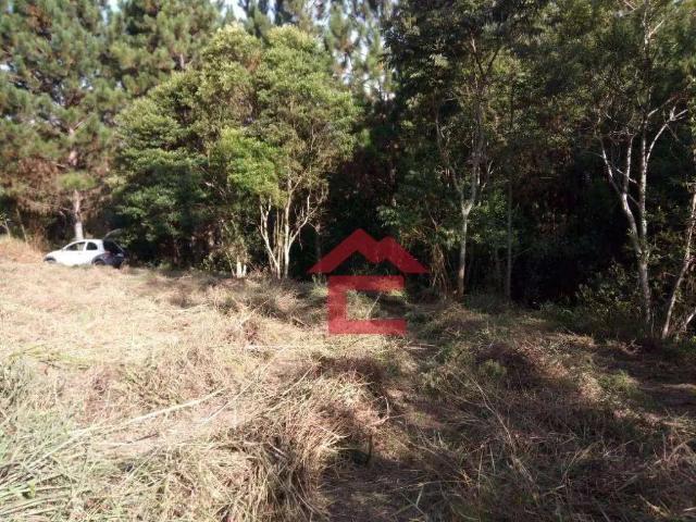 Terreno em Condomínio para Venda em Cotia/SP Jardim São Luiz Caucaia do Alto