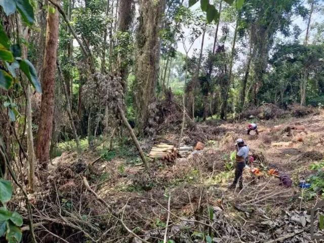 Terreno em Condomínio para Venda em Cotia/SP Jardim São Vicente