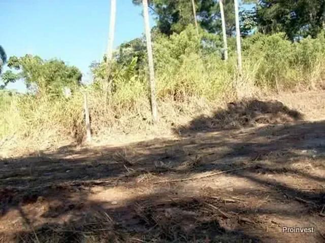 Terreno em Condomínio para Venda em Cotia/SP Jardim Santa Paula