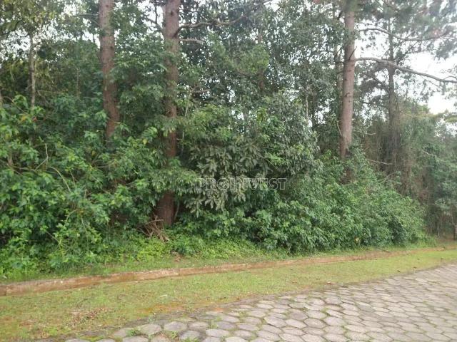 Terreno em Condomínio para Venda em Cotia/SP Jardim San Ressore Caucaia do Alto