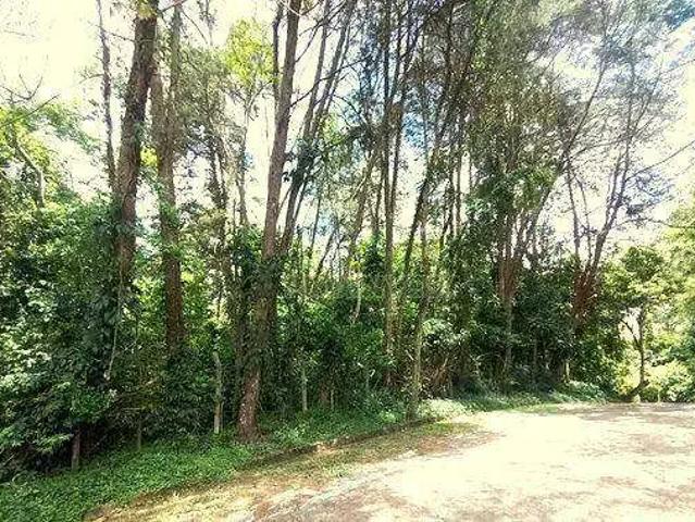 Terreno em Condomínio para Venda em Cotia/SP Paisagem Renoir