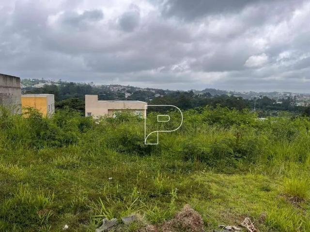 Terreno em Condomínio para Venda em Cotia/SP Quinta dos Angicos
