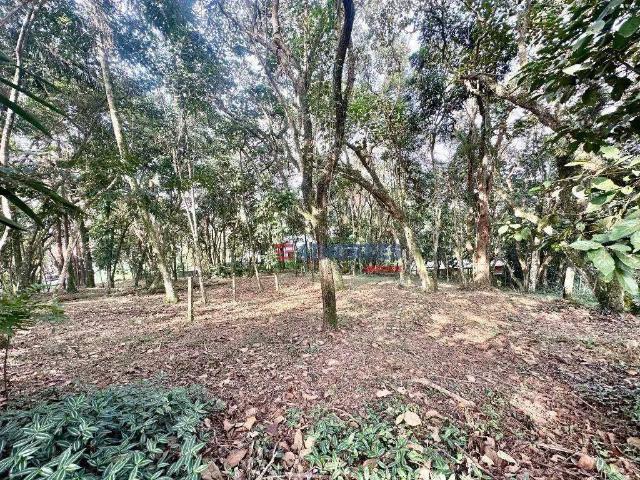 Terreno em Condomínio para Venda em Cotia/SP Vila de São Fernando