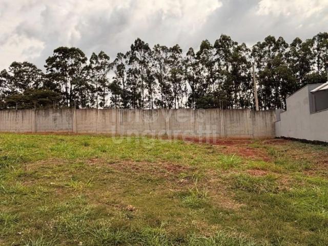 Terreno em Condomínio para Venda em Cravinhos/SP Alto da Boa Vista