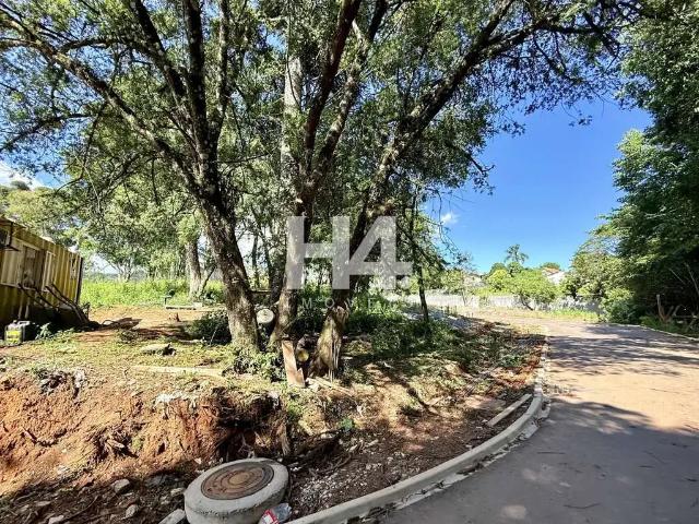 Terreno em Condomínio para Venda em Curitiba/PR Pilarzinho