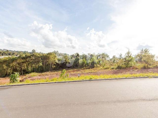 Terreno em Condomínio para Venda em Almirante Tamandaré/PR Planta Almirante
