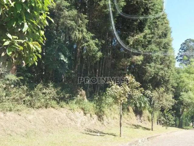 Terreno em Condomínio para Venda em Embu das Artes/SP Granja Viana