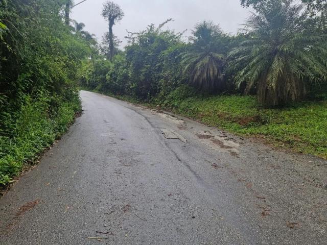 Terreno em Condomínio para Venda em Embu das Artes/SP Parque dos Caetes