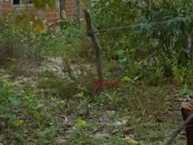 Terreno em Condomínio para Venda em Entre Rios/BA Porto de Sauipe