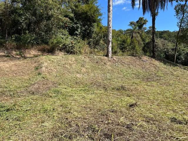 Terreno em Condomínio para Venda em Esmeraldas/MG Condomínio Solar Das Palmeiras